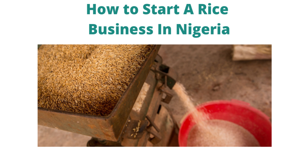 how-to-start-a-rice-business-in-nigeria-2023-naijaceo