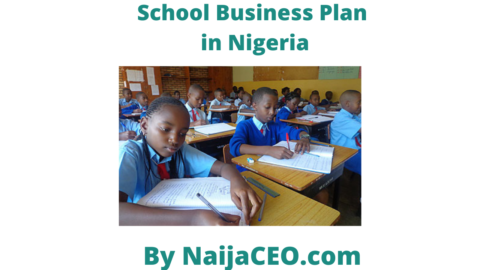 business plan in nigeria pdf