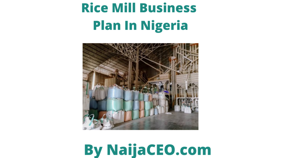 sample of tailoring business plan in nigeria