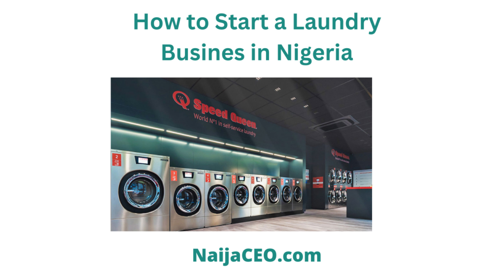 business plan for laundry business in nigeria