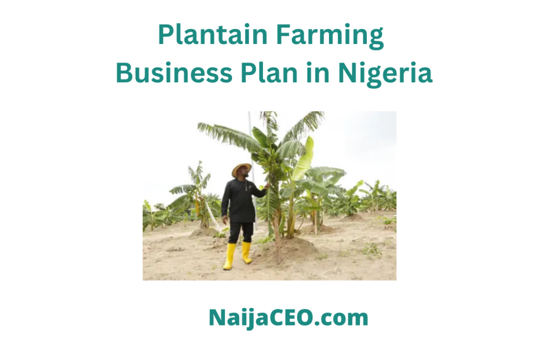 Most Complete Plantain Farming Business Plan in Nigeria