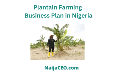 Most Complete Plantain Farming Business Plan in Nigeria