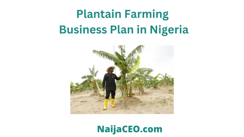 bottled-pure-water-business-plan-in-nigeria-pdf-latest-2023-naijaceo