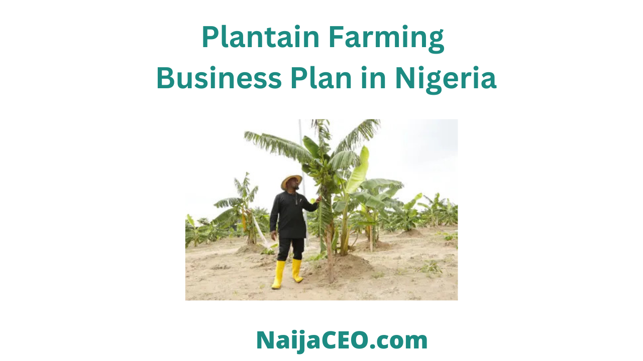 plantain farm business plan in nigeria