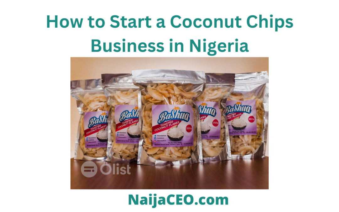 Complete Guide: How to Start a Coconut Chips Business in Nigeria